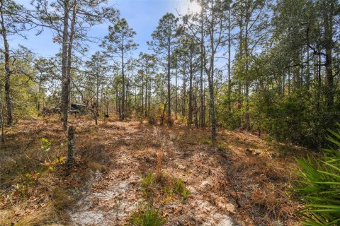 Land in Weeki Wachee, Florida № 1513719 - photo 9