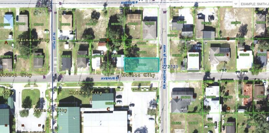 Land in Haines City, Florida № 1561783