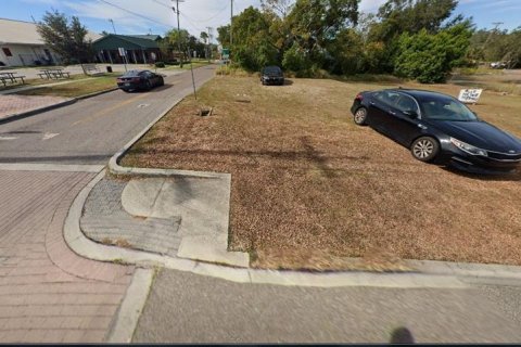 Land in Haines City, Florida № 1561783 - photo 2