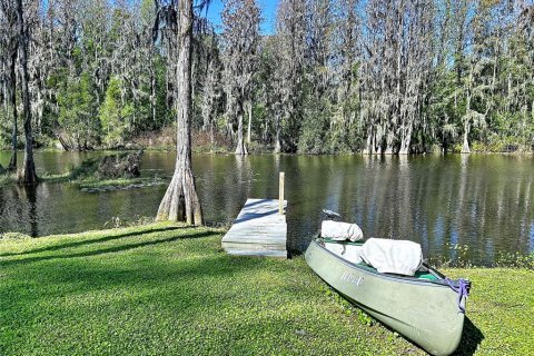 Villa ou maison à vendre à Land O' Lakes, Floride: 5 chambres, 310.2 m2 № 2419943 - photo 9