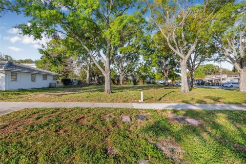 Land in Tampa, Florida № 1579107 - photo 10