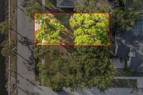 Land in Tampa, Florida № 1579107 - photo 7