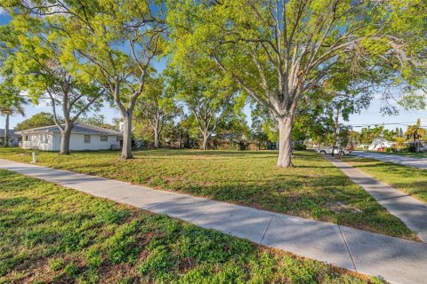 Land in Tampa, Florida № 1579107 - photo 4
