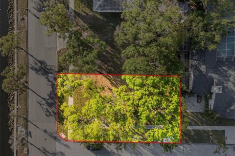 Land in Tampa, Florida № 1579107 - photo 6