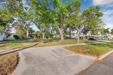 Land in Tampa, Florida № 1579107 - photo 11