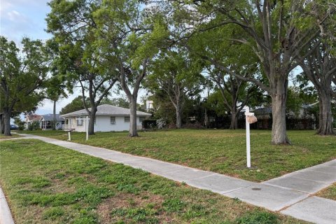 Land in Tampa, Florida № 1579107 - photo 8