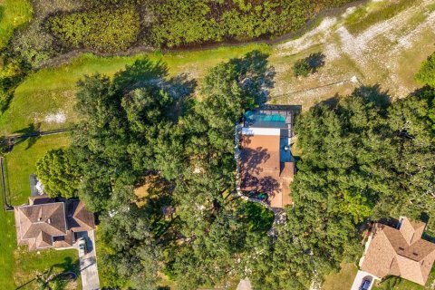 Land in Spring Hill, Florida № 1877226 - photo 8