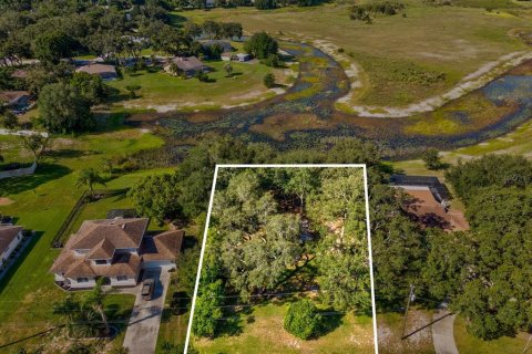 Land in Spring Hill, Florida № 1877226 - photo 1