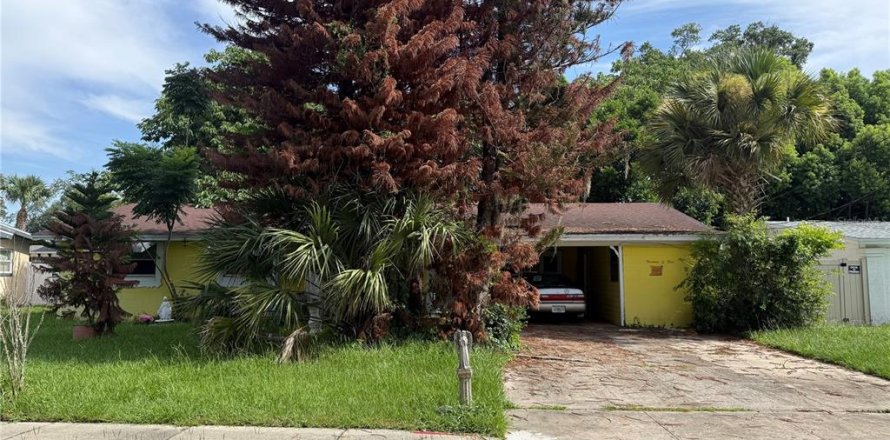 Land in Winter Park, Florida № 2266313