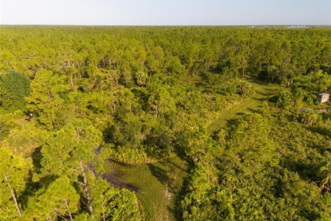 Land in Port Charlotte, Florida № 2202641 - photo 12