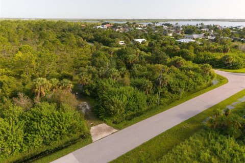 Land in Port Charlotte, Florida № 2202641 - photo 7