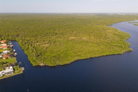 Land in Port Charlotte, Florida № 2202641 - photo 21