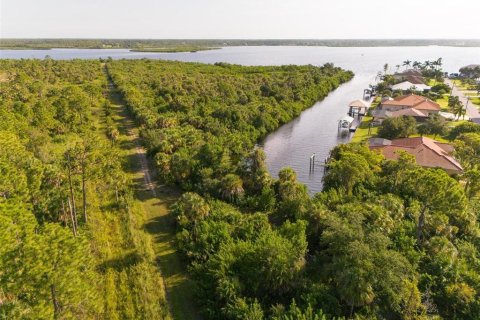 Land in Port Charlotte, Florida № 2202641 - photo 15