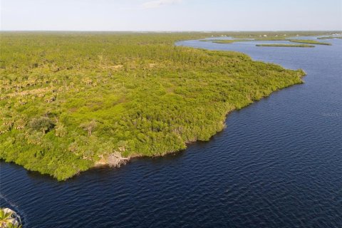 Land in Port Charlotte, Florida № 2202641 - photo 26
