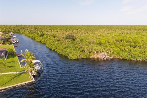 Land in Port Charlotte, Florida № 2202641 - photo 25