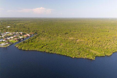 Land in Port Charlotte, Florida № 2202641 - photo 19