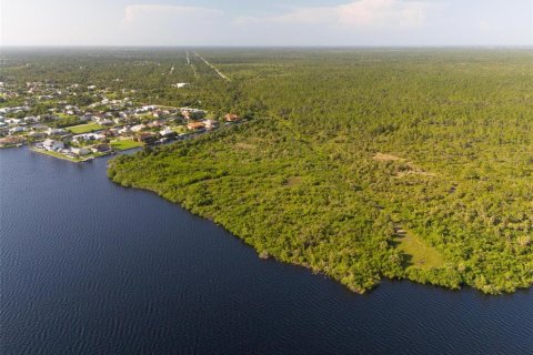 Land in Port Charlotte, Florida № 2202641 - photo 18