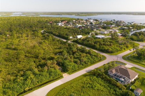Land in Port Charlotte, Florida № 2202641 - photo 6