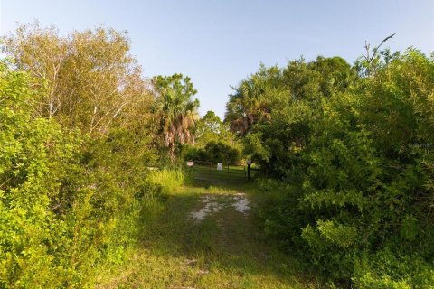 Land in Port Charlotte, Florida № 2202641 - photo 9