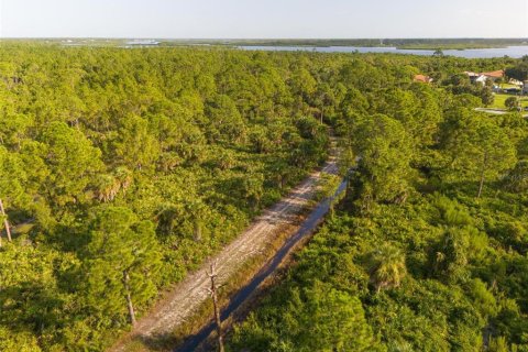 Land in Port Charlotte, Florida № 2202641 - photo 14
