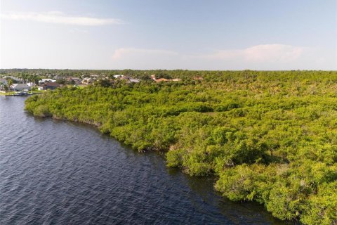 Land in Port Charlotte, Florida № 2202641 - photo 23