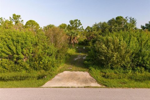 Land in Port Charlotte, Florida № 2202641 - photo 8