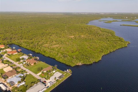 Land in Port Charlotte, Florida № 2202641 - photo 22