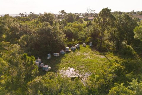 Land in Port Charlotte, Florida № 2202641 - photo 11