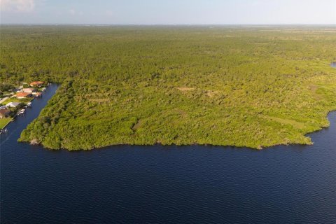 Land in Port Charlotte, Florida № 2202641 - photo 20