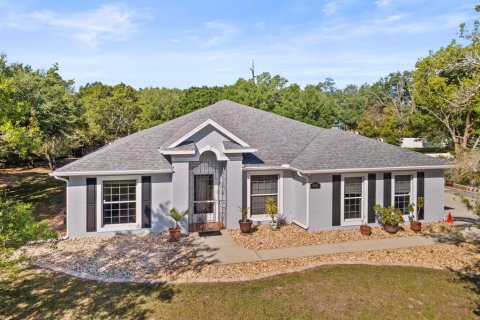 House in Deltona, Florida 4 bedrooms, 268.67 sq.m. № 2225581