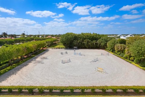 House in Wellington, Florida 7 bedrooms, 321.07 sq.m. № 2250568 - photo 9