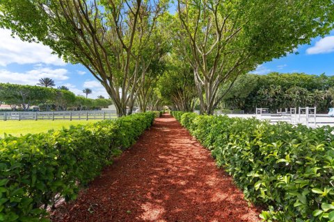 House in Wellington, Florida 7 bedrooms, 321.07 sq.m. № 2250568 - photo 26