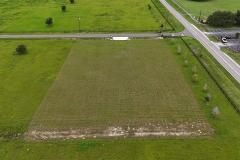 Terrain à vendre à Dade City, Floride № 1908026 - photo 1