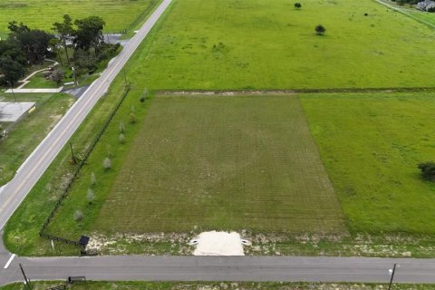 Terrain à vendre à Dade City, Floride № 1908026 - photo 4