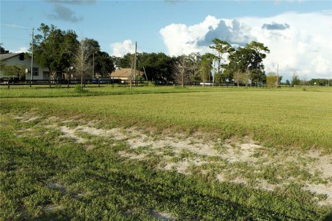 Terrain à vendre à Dade City, Floride № 1908026 - photo 11