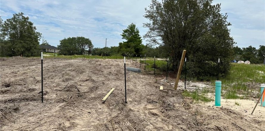 Land in Kissimmee, Florida № 1766137
