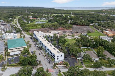 Condominio en venta en Oldsmar, Florida, 2 dormitorios, 144.28 m2 № 1833152 - foto 9
