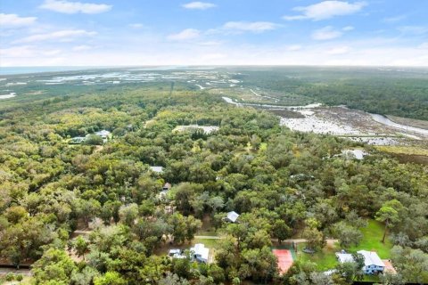 Land in Flagler Beach, Florida № 1561130 - photo 10