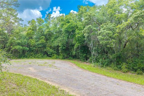 Terrain à Dunnellon, Floride № 2158853