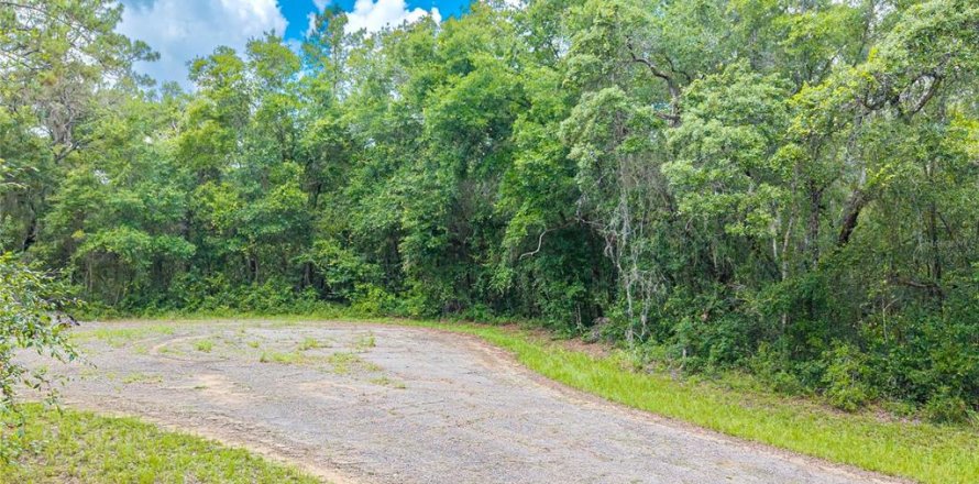 Terrain à Dunnellon, Floride № 2158853