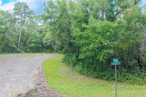 Terrain à vendre à Dunnellon, Floride № 2158853 - photo 4
