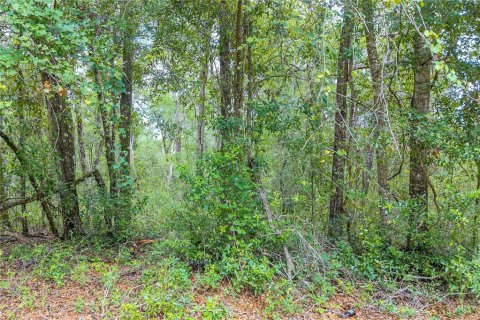Terrain à vendre à Dunnellon, Floride № 2158853 - photo 20