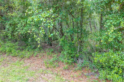 Terrain à vendre à Dunnellon, Floride № 2158853 - photo 21
