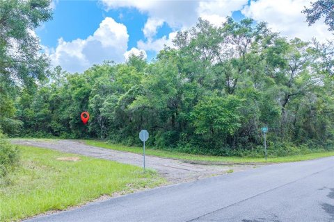 Terrain à vendre à Dunnellon, Floride № 2158853 - photo 5