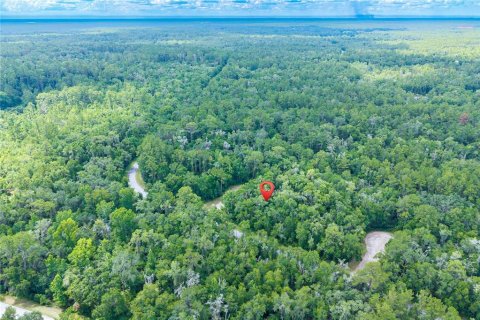 Terrain à vendre à Dunnellon, Floride № 2158853 - photo 6