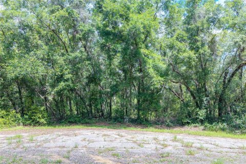 Terrain à vendre à Dunnellon, Floride № 2158853 - photo 7