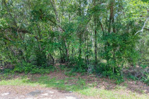 Terrain à vendre à Dunnellon, Floride № 2158853 - photo 8