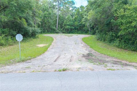 Terrain à vendre à Dunnellon, Floride № 2158853 - photo 22