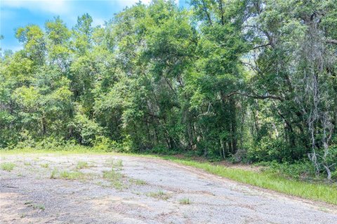 Terrain à vendre à Dunnellon, Floride № 2158853 - photo 3