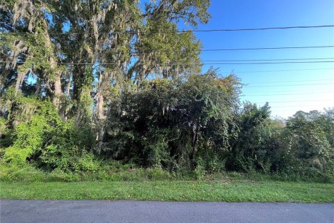 Terreno en DeBary, Florida № 2226991